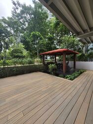 Cairnhill Crest (D9), Condominium #473751261